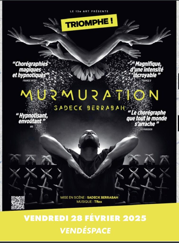 murmuration-les-3emes-au-vendespace