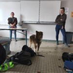 des-metiers-qui-donnent-des-idees