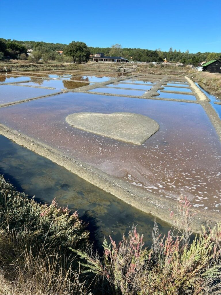 les-6emes-recoltent-le-sel-de-lamitie-aux-salines